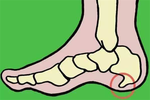 骨質(zhì)增生會腰疼和坐骨疼嗎 骨質(zhì)增生腰疼怎么緩解 骨質(zhì)增生會腰疼和坐骨疼嗎 骨質(zhì)增生腰疼怎么緩解