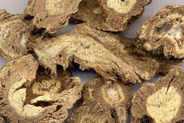 羌活的功效與作用 羌活的禁忌 羌活的功效與作用 羌活的禁忌