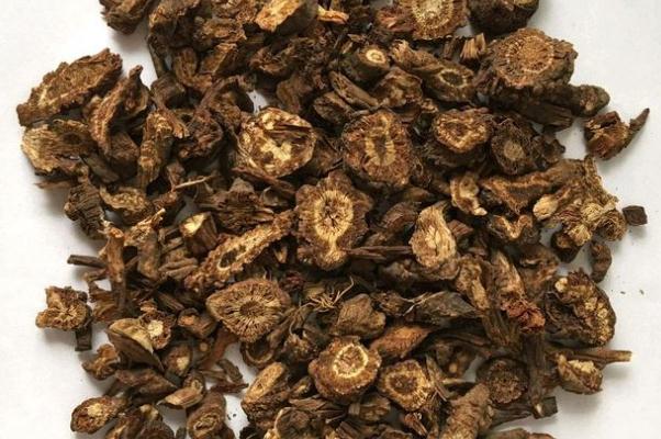 羌活有補(bǔ)腎的功效嗎 羌活有幾個品種 羌活有補(bǔ)腎的功效嗎 羌活有幾個品種