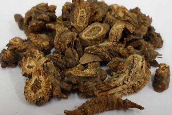 羌活的功效與作用 羌活的禁忌 羌活的功效與作用 羌活的禁忌