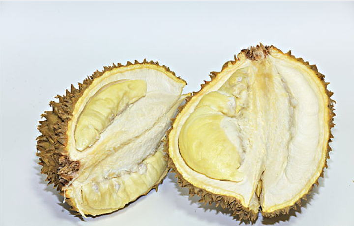 榴蓮開了能放著過夜嗎 榴蓮必須要炸開才能吃嗎 榴蓮開了能放著過夜嗎 榴蓮必須要炸開才能吃嗎