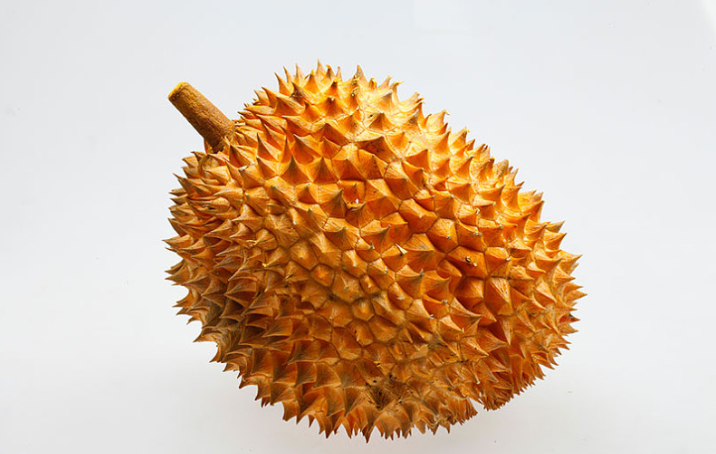 榴蓮一直不開口會(huì)壞嗎 榴蓮肉放常溫下一晚上可以嗎 榴蓮一直不開口會(huì)壞嗎 榴蓮肉放常溫下一晚上可以嗎