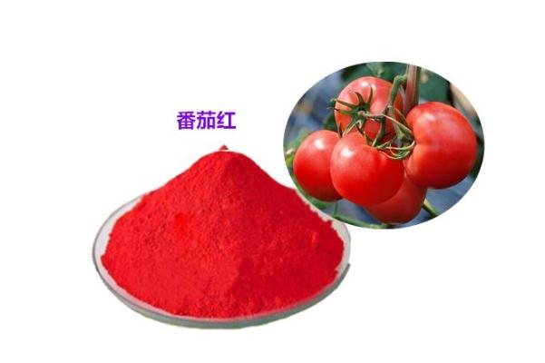 番茄紅素對前列腺炎有效果嗎 番茄紅素的禁忌 番茄紅素對前列腺炎有效果嗎 番茄紅素的禁忌