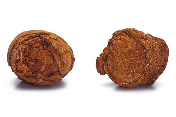 牛黃有什么作用和功效 牛黃有毒性嗎 牛黃有什么作用和功效 牛黃有毒性嗎