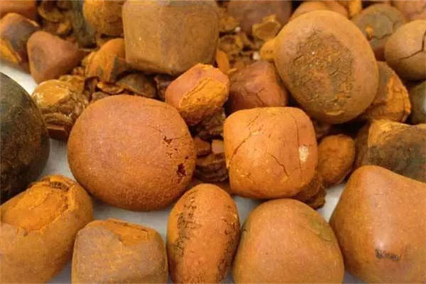 牛黃是什么東西 牛黃是從牛哪里弄出來的 牛黃是什么東西 牛黃是從牛哪里弄出來的