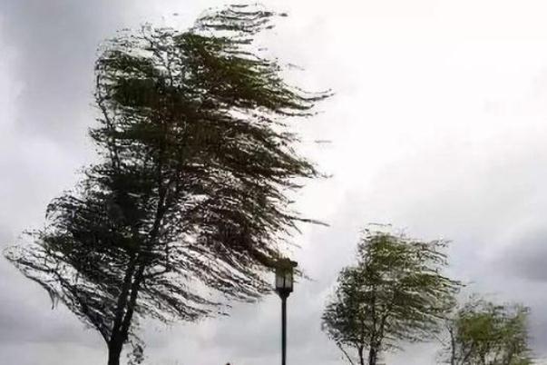 邯鄲突發(fā)大風(fēng) 大風(fēng)天氣安全防范措施 邯鄲突發(fā)大風(fēng) 大風(fēng)天氣安全防范措施