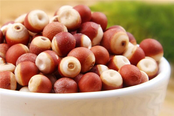 芡實和蓮子的區(qū)別 芡實是什么植物的果實 芡實和蓮子的區(qū)別 芡實是什么植物的果實