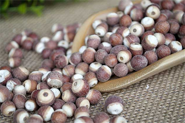 芡實的功效和作用 芡實是蔬菜還是水果 芡實的功效和作用 芡實是蔬菜還是水果