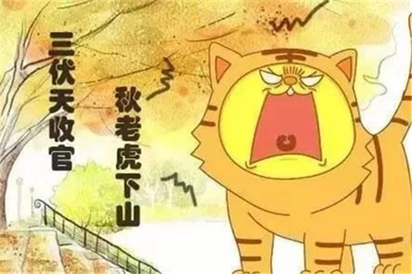 秋老虎是秋夏之交嗎 秋老虎指的是哪個(gè)季節(jié) 秋老虎是秋夏之交嗎 秋老虎指的是哪個(gè)季節(jié)