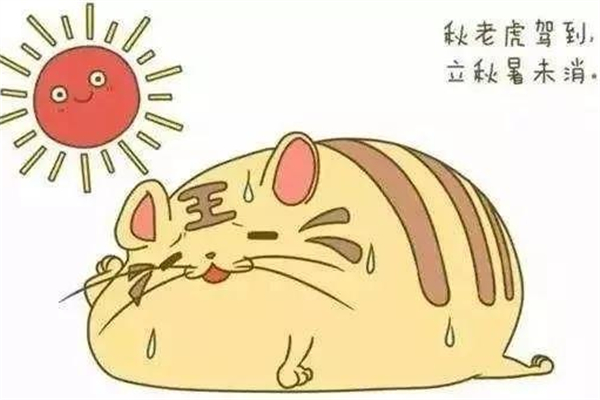 秋老虎是秋夏之交嗎 秋老虎指的是哪個(gè)季節(jié) 秋老虎是秋夏之交嗎 秋老虎指的是哪個(gè)季節(jié)
