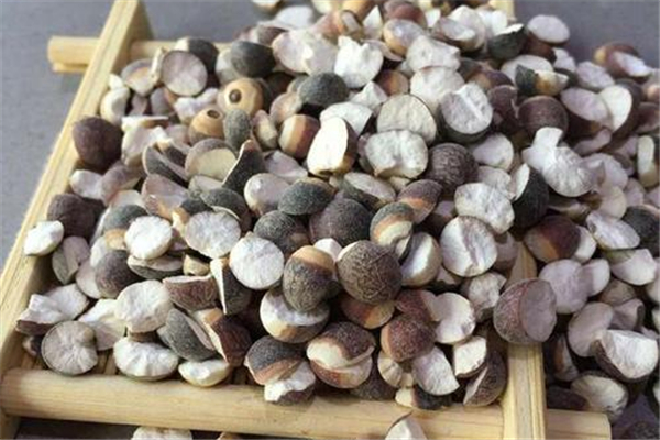 芡實有保質(zhì)期嗎 芡實保質(zhì)期是多長時間 芡實有保質(zhì)期嗎 芡實保質(zhì)期是多長時間