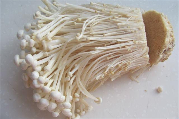 金針菇要煮多久才可以吃 金針菇煮不熟有毒嗎 金針菇要煮多久才可以吃 金針菇煮不熟有毒嗎