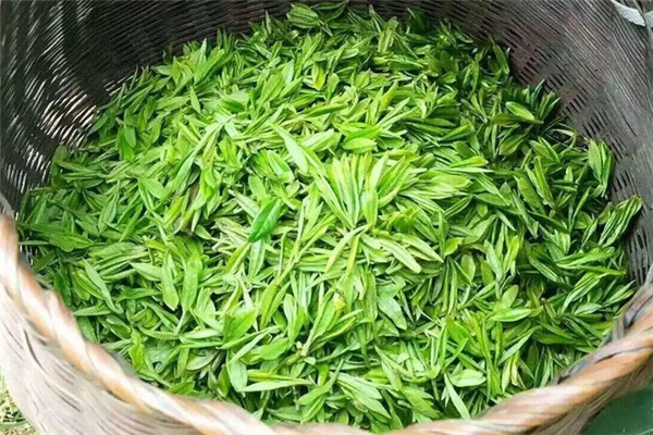 西湖龍井用多少度的水來泡 西湖龍井的口感和特點(diǎn) 西湖龍井用多少度的水來泡 西湖龍井的口感和特點(diǎn)