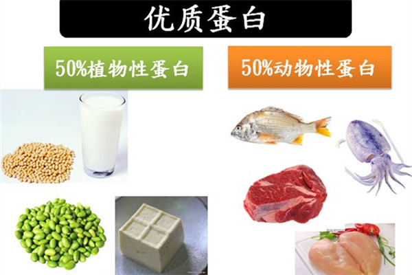 蛋白質(zhì)減肥法會反彈嗎 蛋白質(zhì)減肥法怎么吃 蛋白質(zhì)減肥法會反彈嗎 蛋白質(zhì)減肥法怎么吃