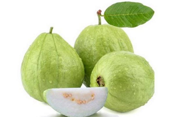 番石榴有點澀是怎么回事 番石榴的禁忌 番石榴有點澀是怎么回事 番石榴的禁忌