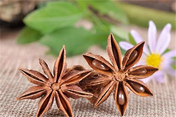 八角正常的應(yīng)該有幾個(gè)角 八角有九個(gè)十個(gè)角的嗎 八角正常的應(yīng)該有幾個(gè)角 八角有九個(gè)十個(gè)角的嗎