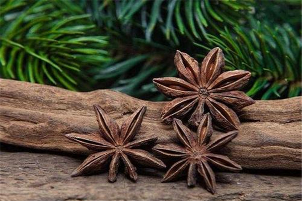 八角正常的應(yīng)該有幾個(gè)角 八角有九個(gè)十個(gè)角的嗎 八角正常的應(yīng)該有幾個(gè)角 八角有九個(gè)十個(gè)角的嗎