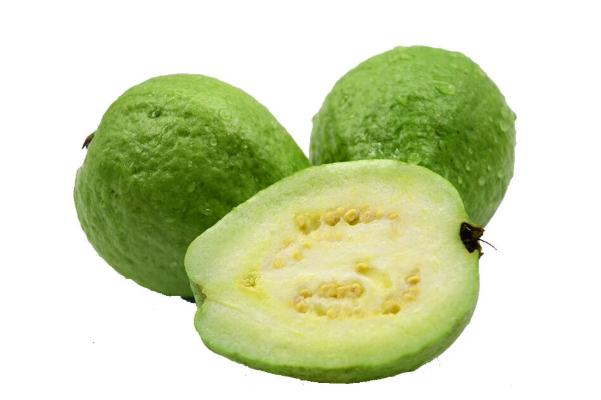 番石榴有降糖作用嗎 番石榴要放軟了吃嗎 番石榴有降糖作用嗎 番石榴要放軟了吃嗎