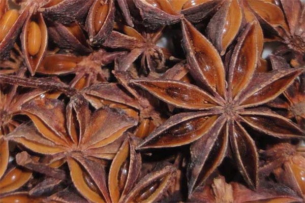 八角會生蟲子嗎 八角生蟲還能吃嗎 八角會生蟲子嗎 八角生蟲還能吃嗎