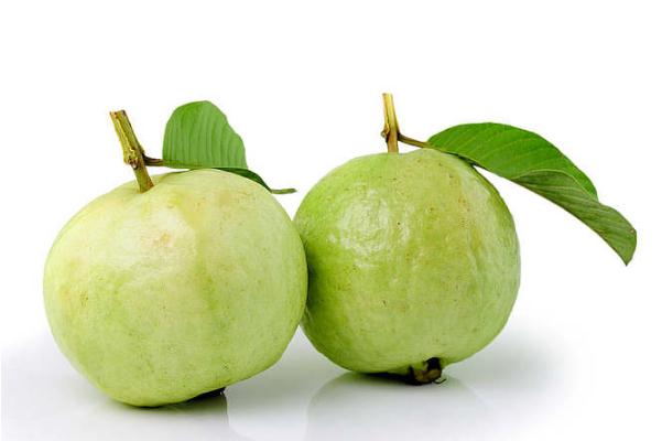 番石榴有點澀是怎么回事 番石榴的禁忌 番石榴有點澀是怎么回事 番石榴的禁忌