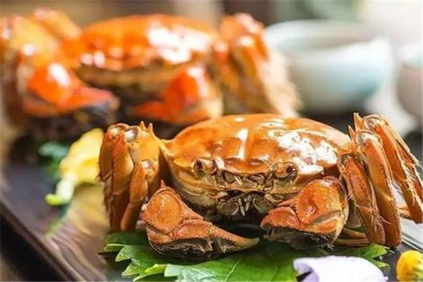 蒸螃蟹是朝上還是朝下 蒸螃蟹用大火還是小火 蒸螃蟹是朝上還是朝下 蒸螃蟹用大火還是小火