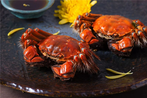 螃蟹怎么挑肥的 螃蟹買公蟹還是母蟹 螃蟹怎么挑肥的 螃蟹買公蟹還是母蟹