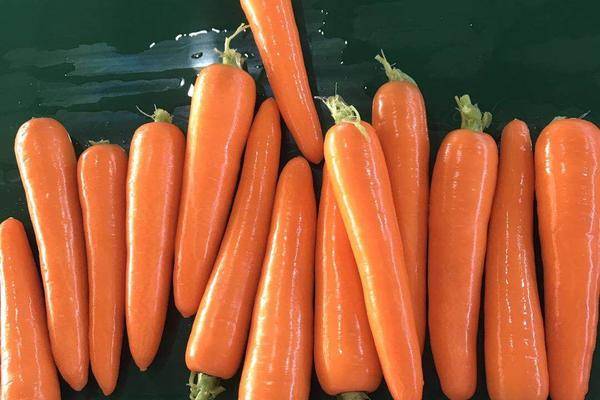 胡蘿卜補充維生素b嗎 胡蘿卜含有什么維生素 胡蘿卜補充維生素b嗎 胡蘿卜含有什么維生素