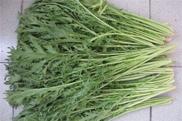 雪里紅可以不腌制吃嗎 雪里紅和梅干菜有什么區(qū)別 雪里紅可以不腌制吃嗎 雪里紅和梅干菜有什么區(qū)別