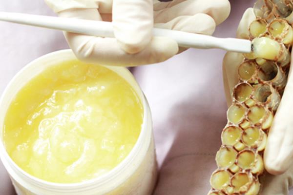 蜂王漿是怎樣生產(chǎn)出來的 蜂王漿是什么味道才是正宗的 蜂王漿是怎樣生產(chǎn)出來的 蜂王漿是什么味道才是正宗的