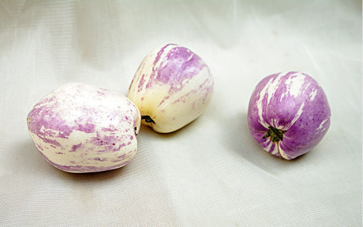 濕氣重可以吃人參果嗎 人參果是軟的好吃還是硬的好吃 濕氣重可以吃人參果嗎 人參果是軟的好吃還是硬的好吃