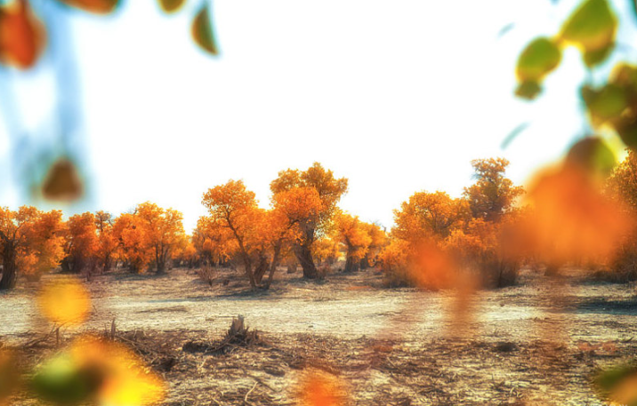 立秋下雨好嗎 立秋秋老虎熱多少天 立秋下雨好嗎 立秋秋老虎熱多少天