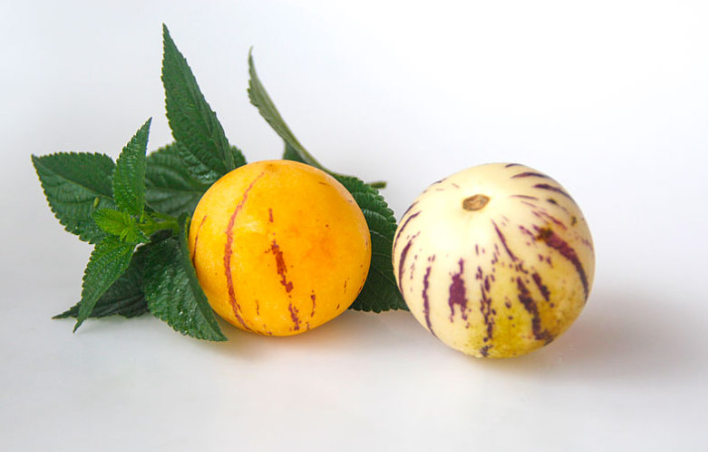 人參果買回來是硬的怎么辦 人參果白色的是不是沒有成熟 人參果買回來是硬的怎么辦 人參果白色的是不是沒有成熟