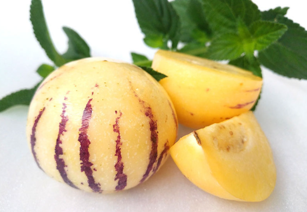 人參果大的好還是小的 人參果什么時候成熟 人參果大的好還是小的 人參果什么時候成熟