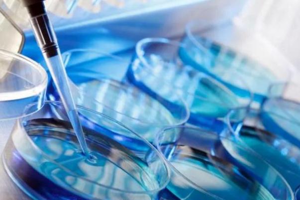 試管嬰兒會(huì)宮外孕嗎 試管嬰兒會(huì)胎停嗎 試管嬰兒會(huì)宮外孕嗎 試管嬰兒會(huì)胎停嗎