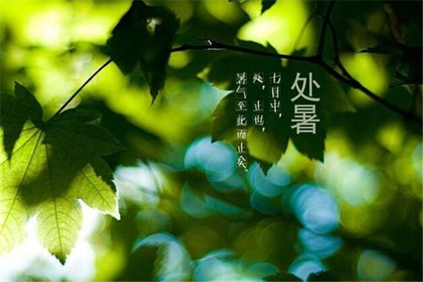 處暑之后還熱不熱了 處暑之后是秋天嗎 處暑之后還熱不熱了 處暑之后是秋天嗎