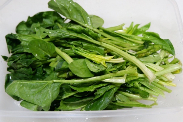 菠菜會(huì)導(dǎo)致胃脹氣嗎 菠菜會(huì)導(dǎo)致尿酸高嗎 菠菜會(huì)導(dǎo)致胃脹氣嗎 菠菜會(huì)導(dǎo)致尿酸高嗎