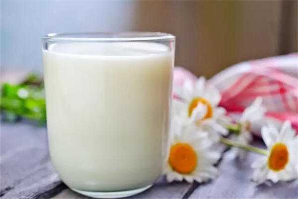 羊奶煮沸后像豆腐渣還能吃嗎 羊奶煮出豆花狀是怎么回事 羊奶煮沸后像豆腐渣還能吃嗎 羊奶煮出豆花狀是怎么回事