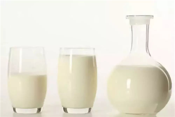 羊奶煮沸后像豆腐渣還能吃嗎 羊奶煮出豆花狀是怎么回事 羊奶煮沸后像豆腐渣還能吃嗎 羊奶煮出豆花狀是怎么回事