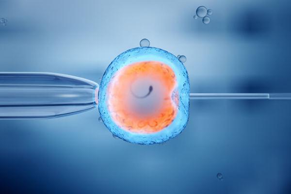 試管嬰兒有畸形的風(fēng)險(xiǎn)嗎 試管嬰兒有唐氏兒?jiǎn)?></a>
      <p class=