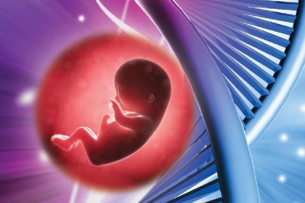 試管嬰兒的孩子智商怎么樣 試管嬰兒一定會(huì)成功嗎 試管嬰兒的孩子智商怎么樣 試管嬰兒一定會(huì)成功嗎