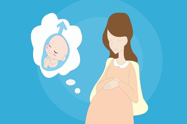 試管嬰兒會(huì)宮外孕嗎 試管嬰兒會(huì)胎停嗎 試管嬰兒會(huì)宮外孕嗎 試管嬰兒會(huì)胎停嗎