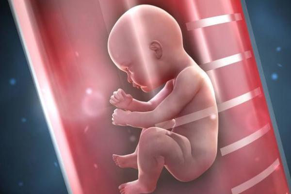 試管嬰兒的流程是什么樣的 試管嬰兒的利弊有哪些 試管嬰兒的流程是什么樣的 試管嬰兒的利弊有哪些