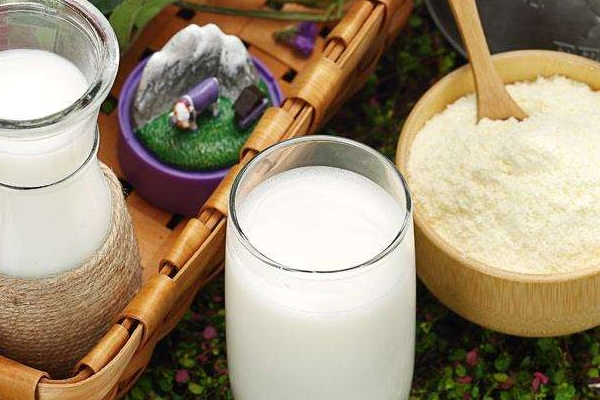 羊奶和牛奶哪營養(yǎng)價值高 羊奶和牛奶的區(qū)別 羊奶和牛奶哪營養(yǎng)價值高 羊奶和牛奶的區(qū)別