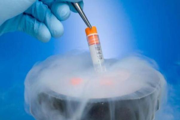 試管嬰兒會(huì)宮外孕嗎 試管嬰兒會(huì)胎停嗎 試管嬰兒會(huì)宮外孕嗎 試管嬰兒會(huì)胎停嗎