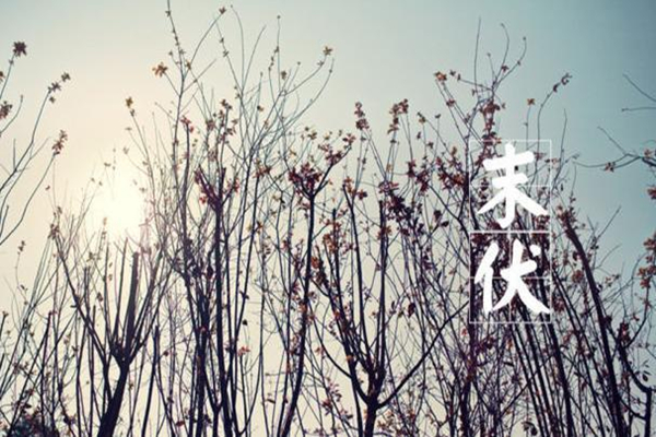 全國末伏熱力地圖出爐 末伏天還熱嗎 全國末伏熱力地圖出爐 末伏天還熱嗎