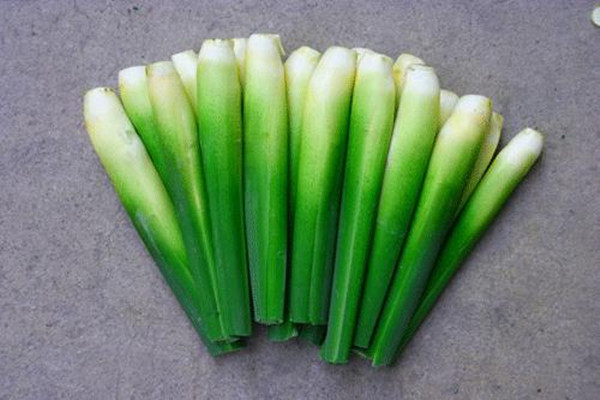 茭白會導致尿酸高嗎 茭白會導致過敏嗎 茭白會導致尿酸高嗎 茭白會導致過敏嗎