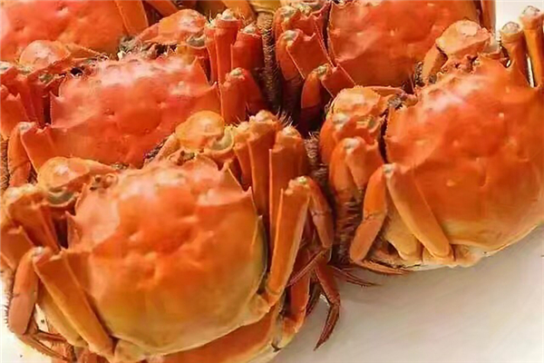 陽澄湖大閘蟹多少錢一只 陽澄湖大閘蟹出名嗎 陽澄湖大閘蟹多少錢一只 陽澄湖大閘蟹出名嗎