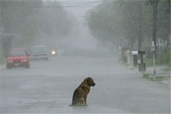 暴雨突襲湖北柳林一家5口家中遇難 暴雨有多大的雨 暴雨突襲湖北柳林一家5口家中遇難 暴雨有多大的雨