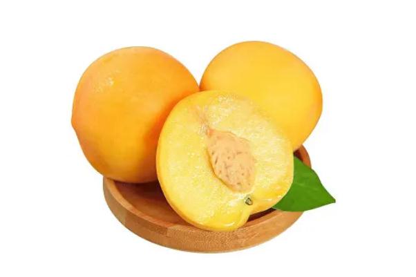 黃桃的功效與禁忌 黃桃的營養(yǎng)價值 黃桃的功效與禁忌 黃桃的營養(yǎng)價值