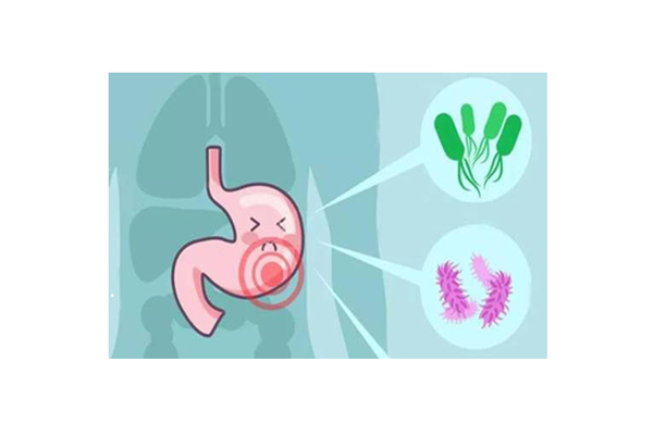 慢性胃炎需要長(zhǎng)期吃藥嗎 慢性胃炎用藥原則